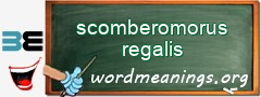 WordMeaning blackboard for scomberomorus regalis